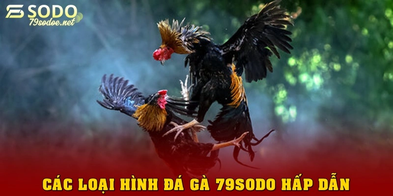 Các loại hình đá gà 79sodo siêu hấp dẫn